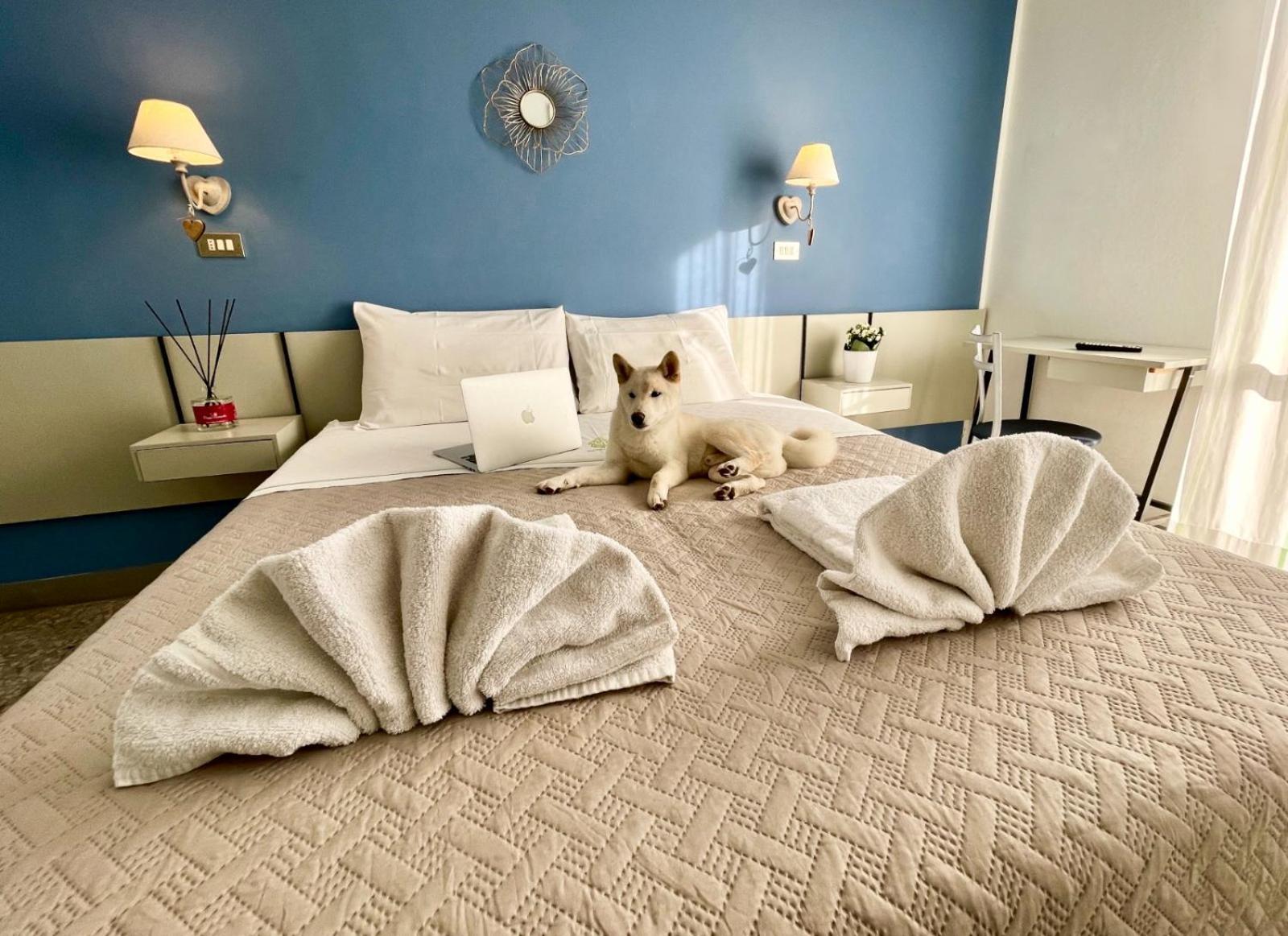 Hotel Alfa Anche In All Inclusive Rimini Bagian luar foto