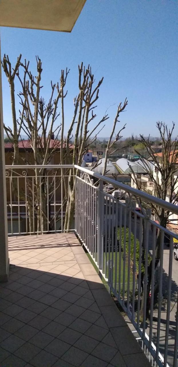 Hotel Alfa Anche In All Inclusive Rimini Bagian luar foto